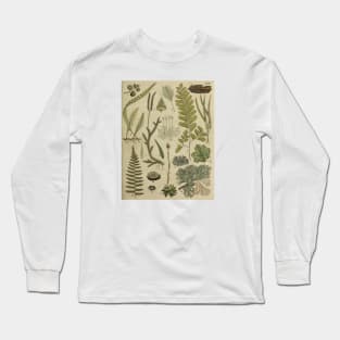 Ferns and Mosses Long Sleeve T-Shirt